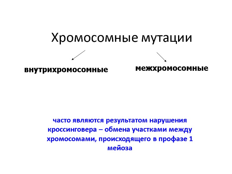 Хромосомные мутации   часто являются результатом нарушения кроссинговера – обмена участками между хромосомами,